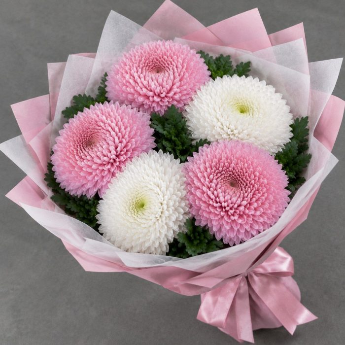 Розовые и белые хризантемы